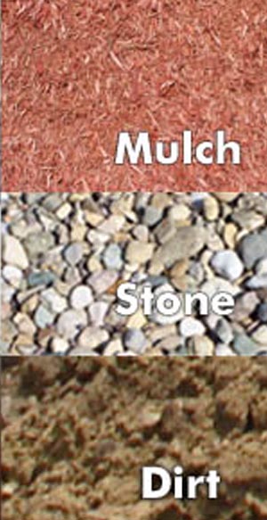 hunter transit graphic image